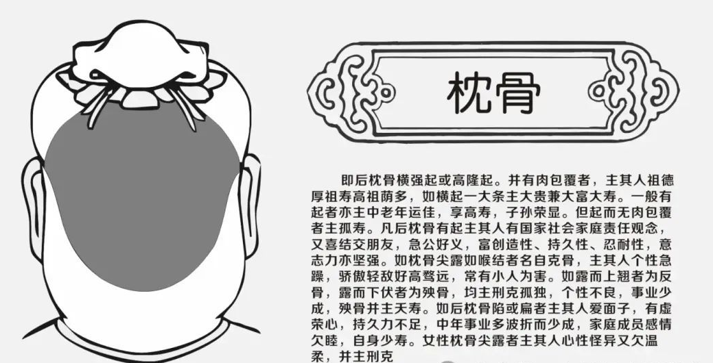 详细带你了解曾国藩提到的"九贵骨"