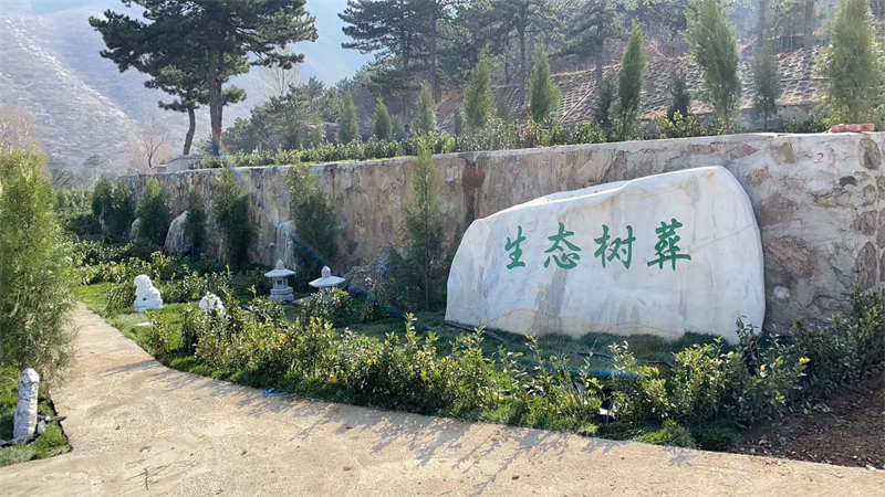 新一年北京生态葬价格是多少?生态葬陵园介绍