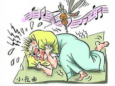 多数人都不懂蚊子"天敌"是啥?1个土法子,开窗也能睡个安稳觉