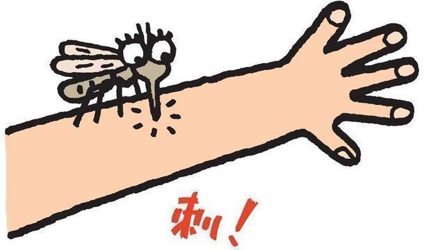 除了小宝宝,这些人也逃不出蚊子的"手掌心"