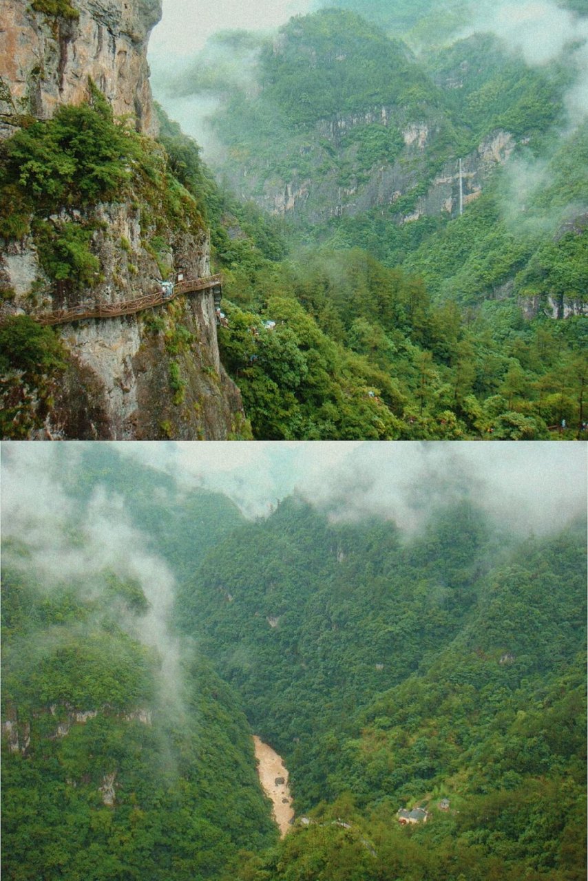 "  白水洋鸳鸯溪,位于福建宁德市屏南县双溪镇9015,这里山深林密