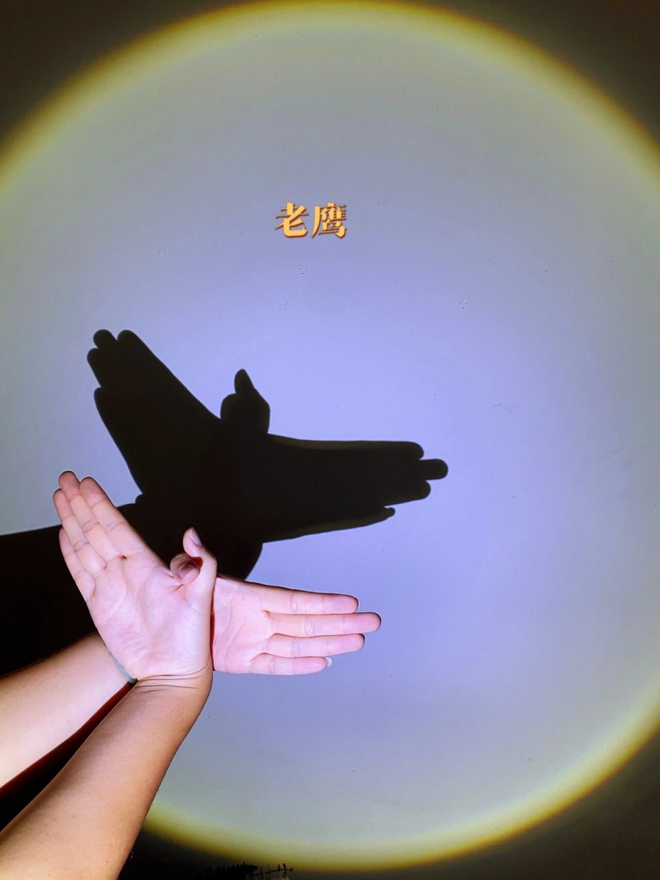 它通过手的形状和动作,在光线下创造出各种奇妙的影子图像91,仿佛是