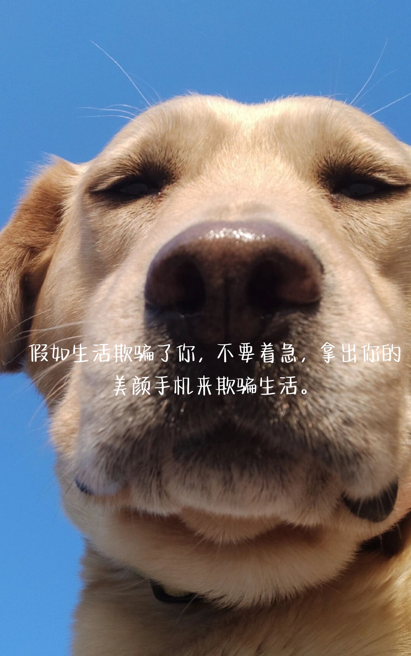 搞笑文案短句沙雕 假如生活欺.@小财神文字的动态