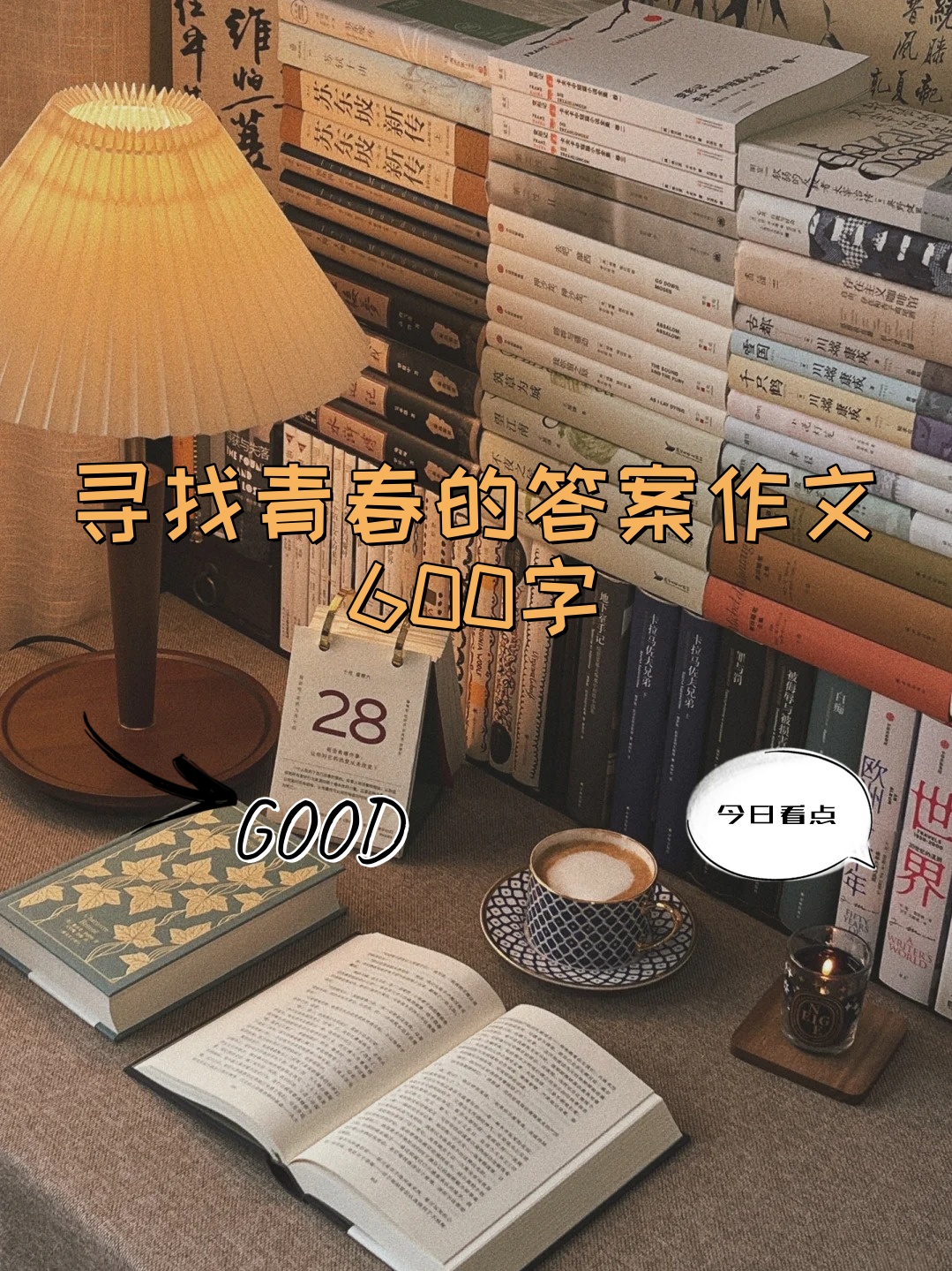 寻找青春的答案作文600字
