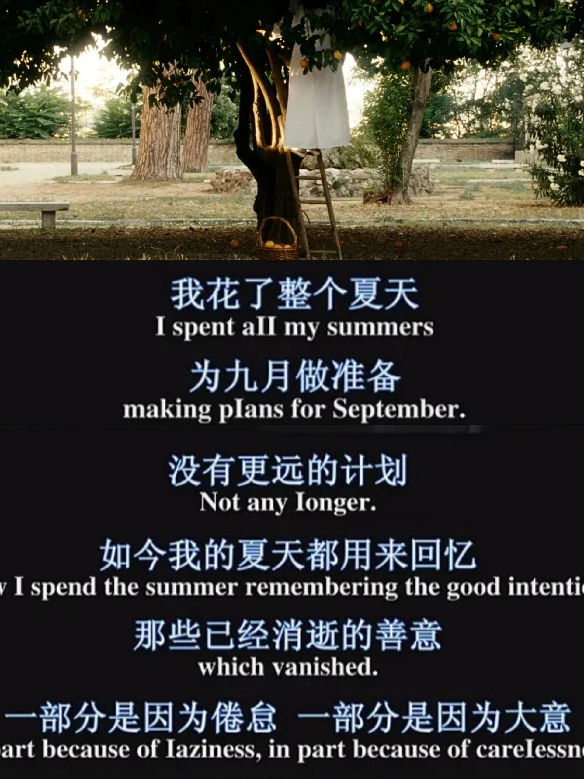 《绝美之城》真的绝美!