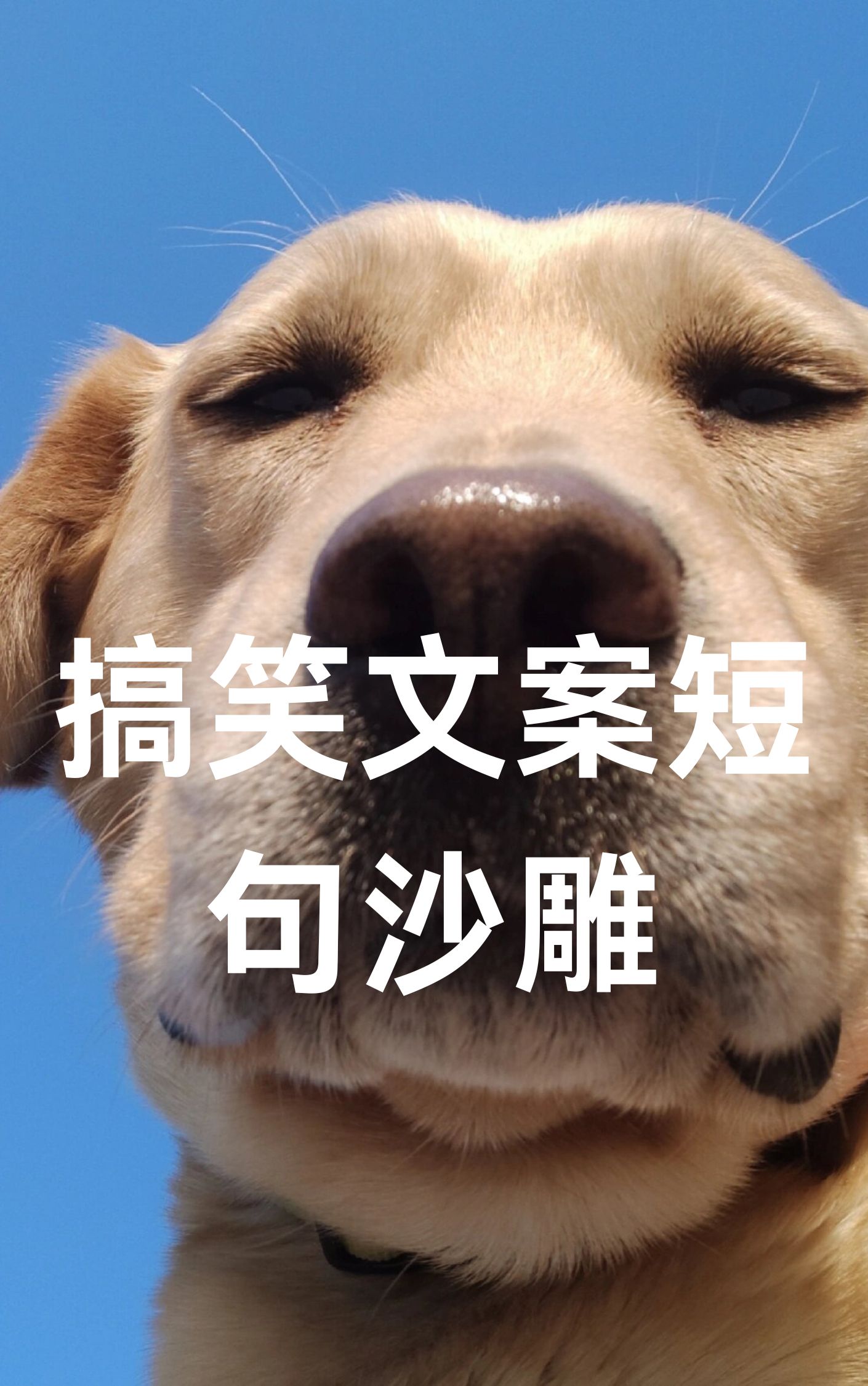 搞笑文案短句沙雕 假如生活欺.@小财神文字的动态