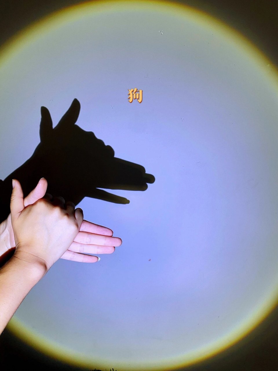 手影子手势图片  07手影子手势,是一种充满创意和趣味的表达方式