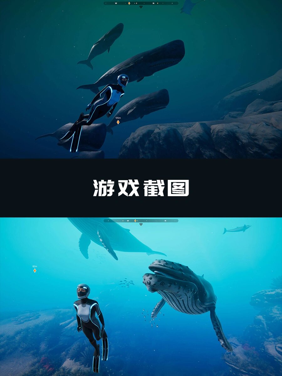 这款游戏的标签是海洋,模拟,探索和冒险.