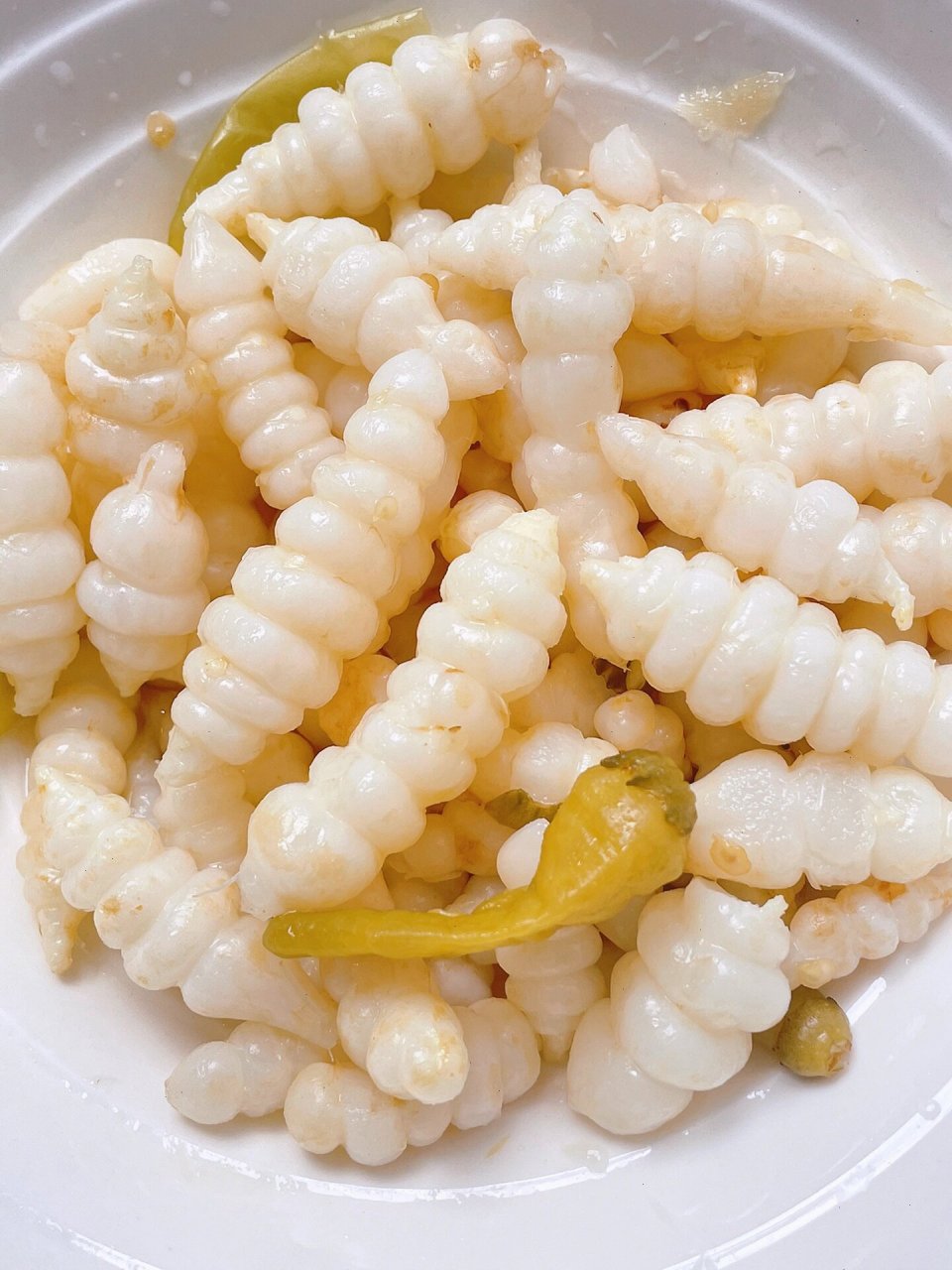 地牯牛的图片  [樱花][樱花]地牯牛,中药名,别名砂挼子,倒行狗子,睡虫