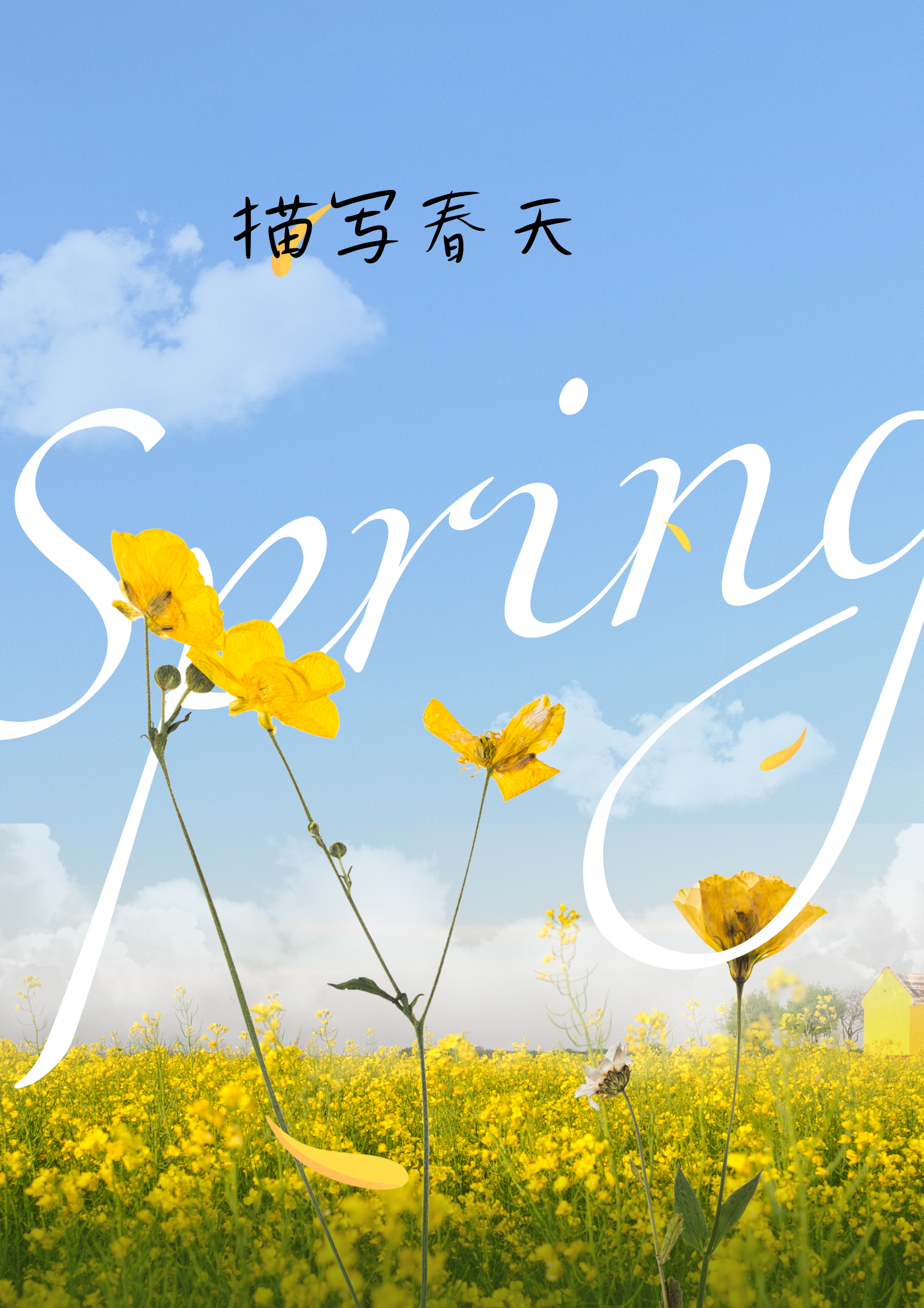 的春天背景春天来了的图片五彩斑斓春天的图片明媚环境描写春天到了