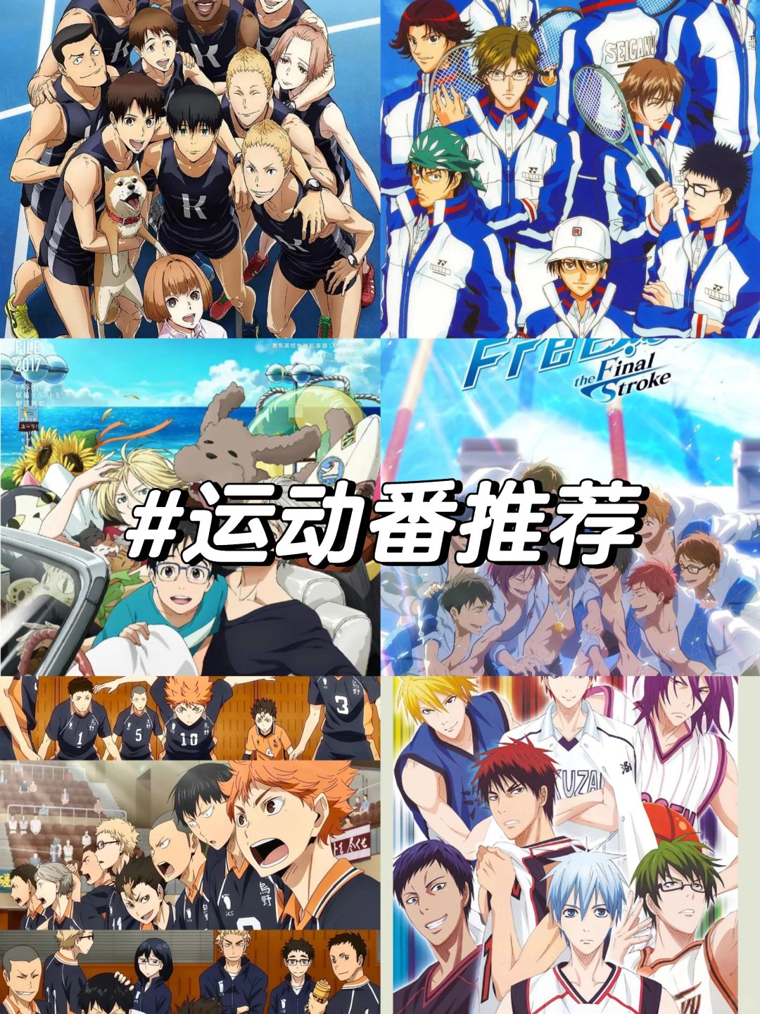 运动番推荐  《排球少年》:重刷无数遍,球不落地比赛就没结束的精神超