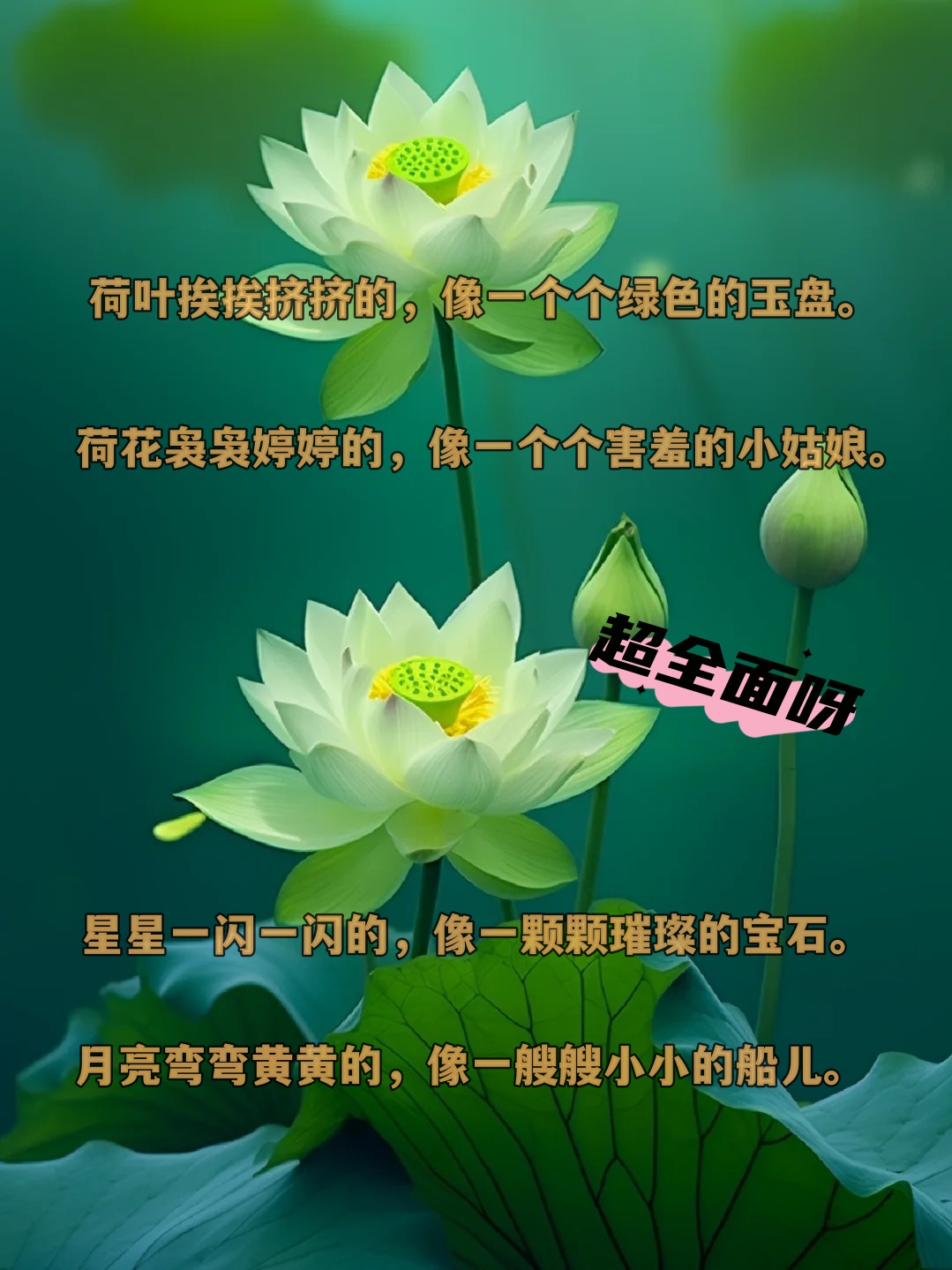 荷叶挨挨挤挤的比喻句仿写