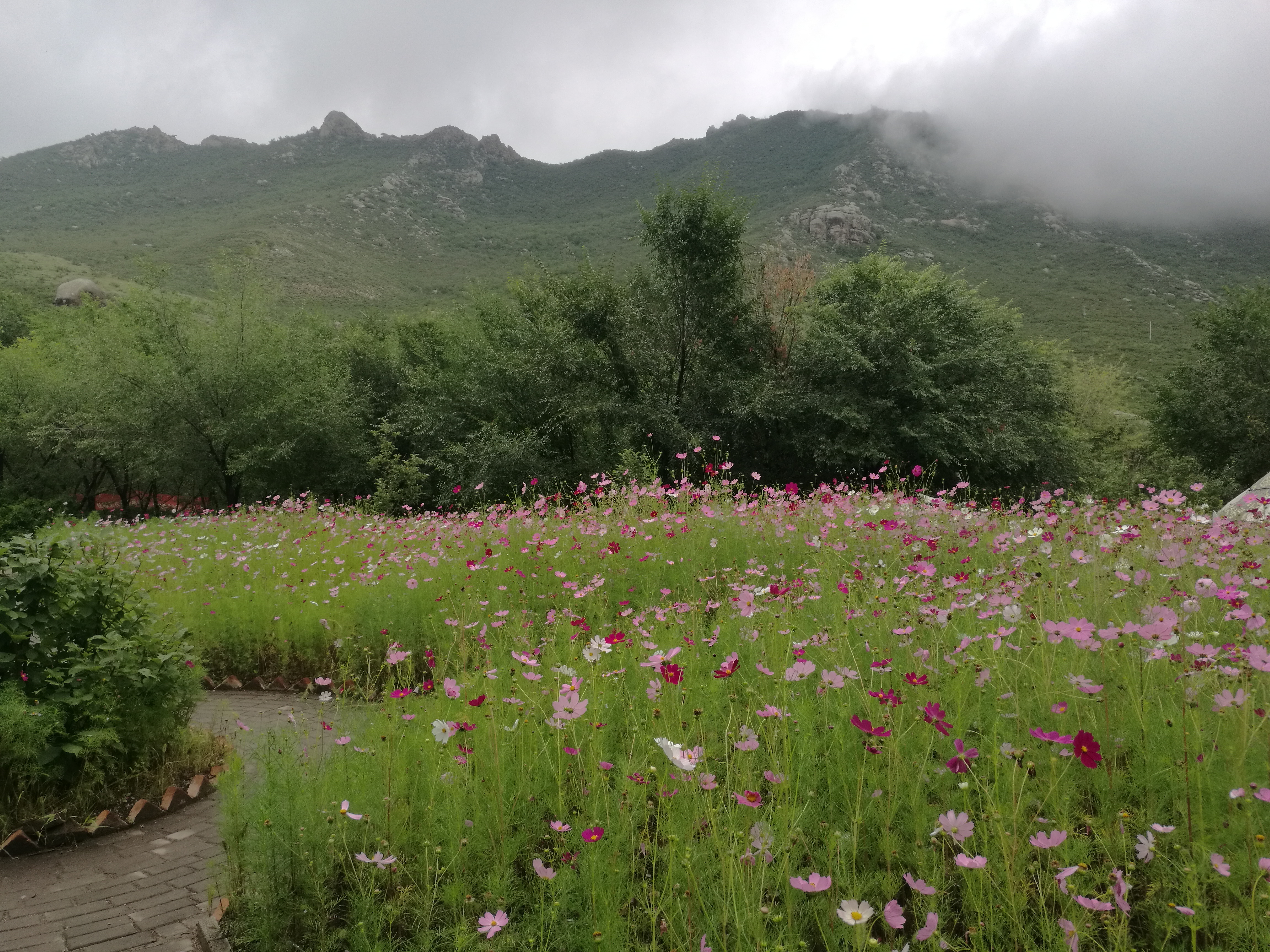 内蒙古大青山的传说图片