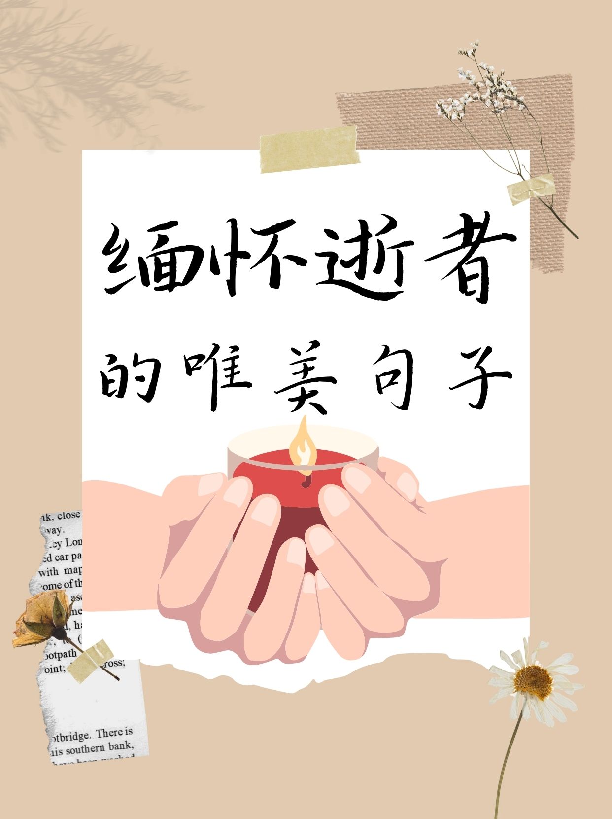 飘零,虽带走了鲜活的生命,却留下了深深的印记与无边的纪念的图片唯美