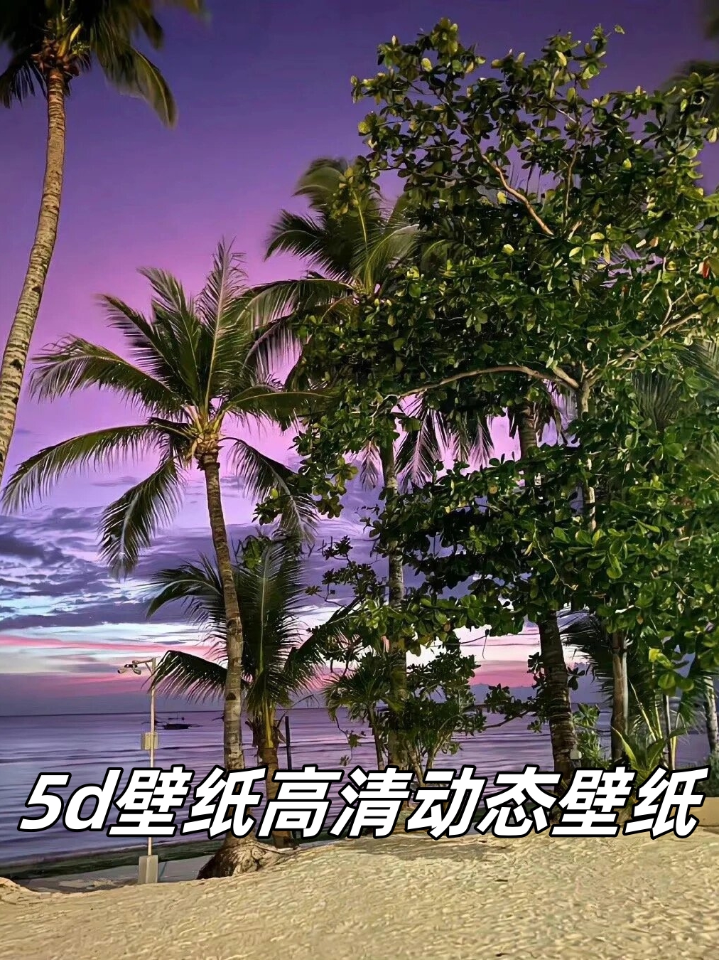 5d壁纸高清动态壁纸 这些高清动态壁纸以其出色的画质而脱颖而出.