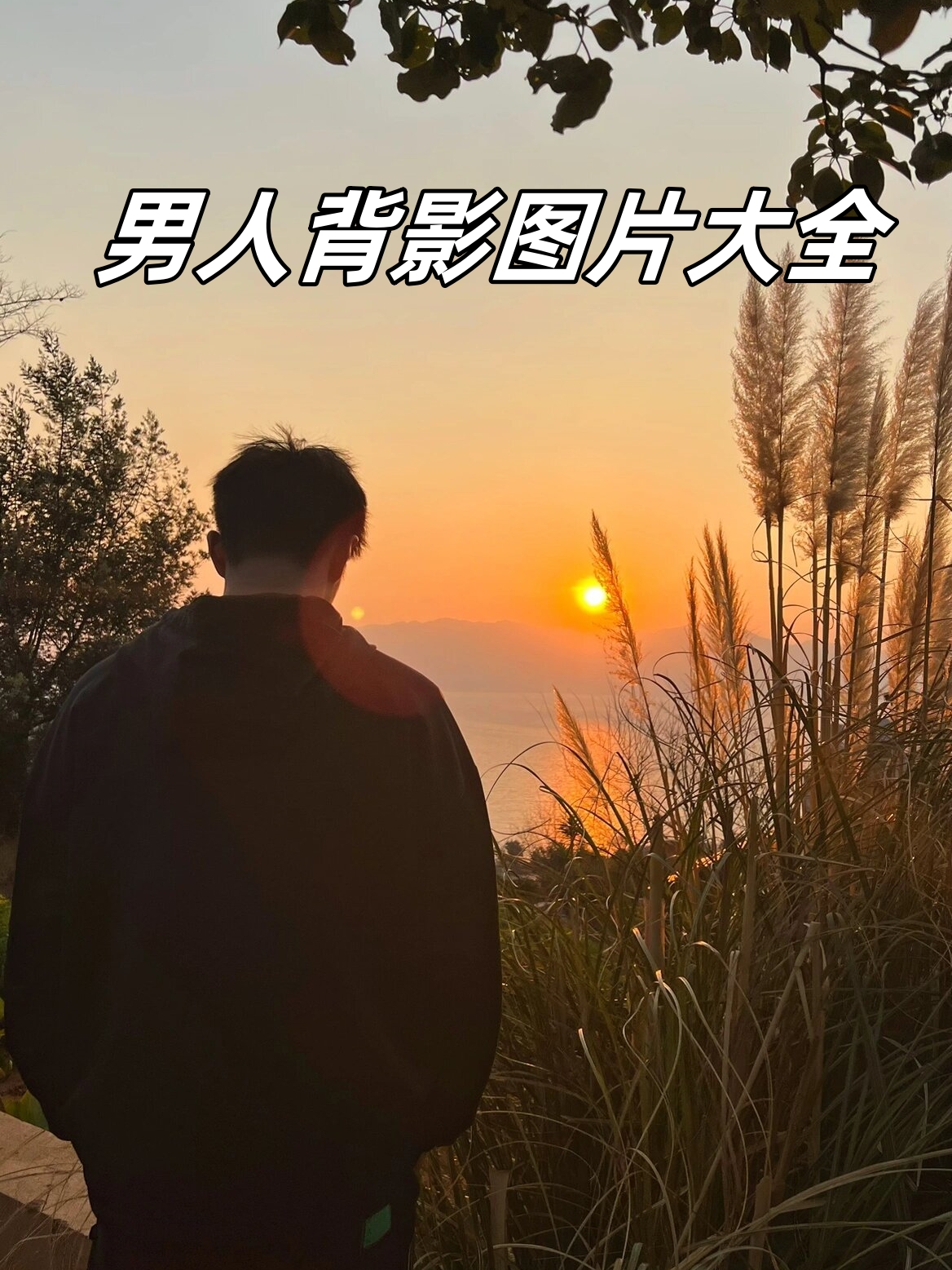 男人背影图片大全   这些背影图片如同时间的切片,定格了男人在特定
