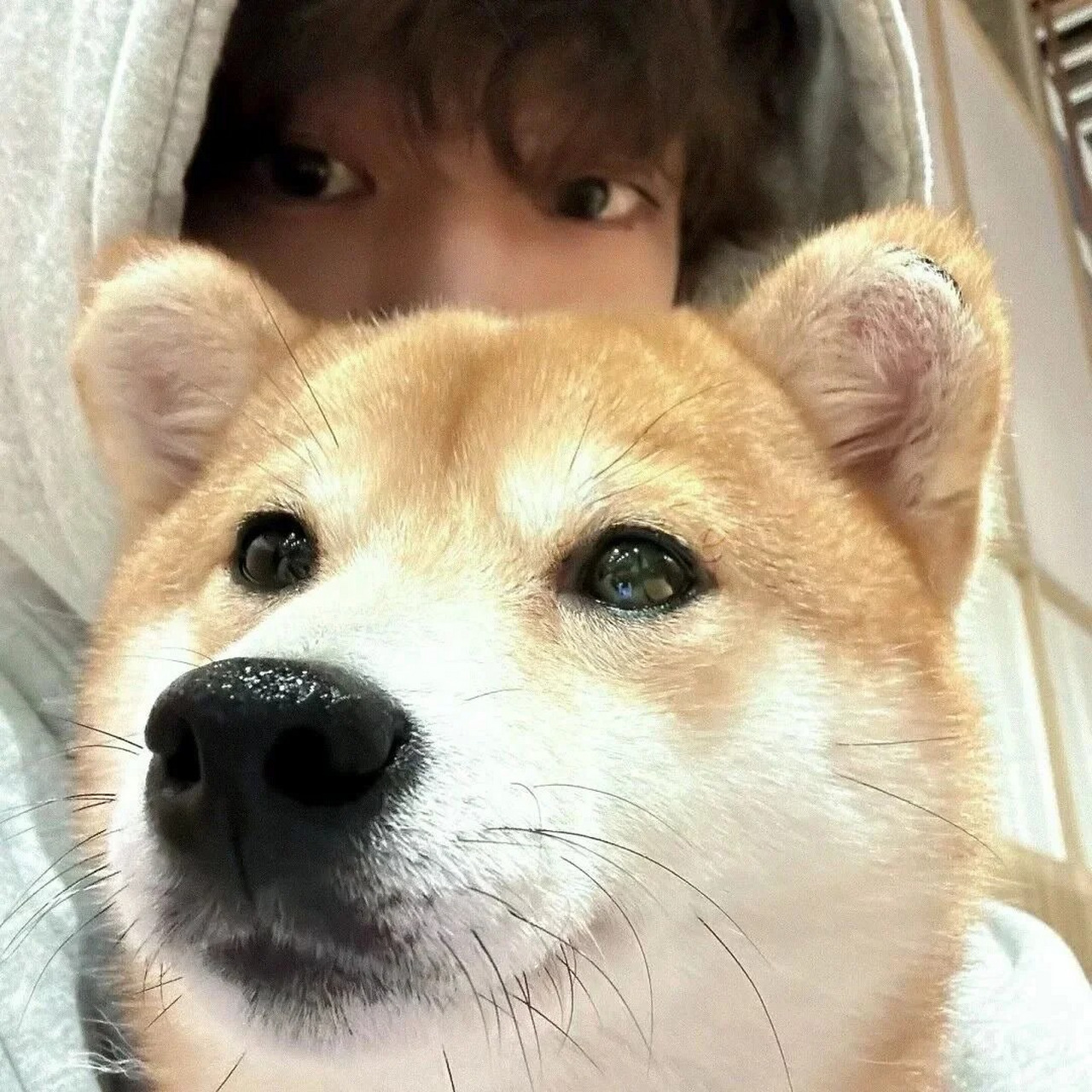 🎈 文艺范男生头像,演绎别样的温柔与优雅 🤗 👀 阳光少年头像