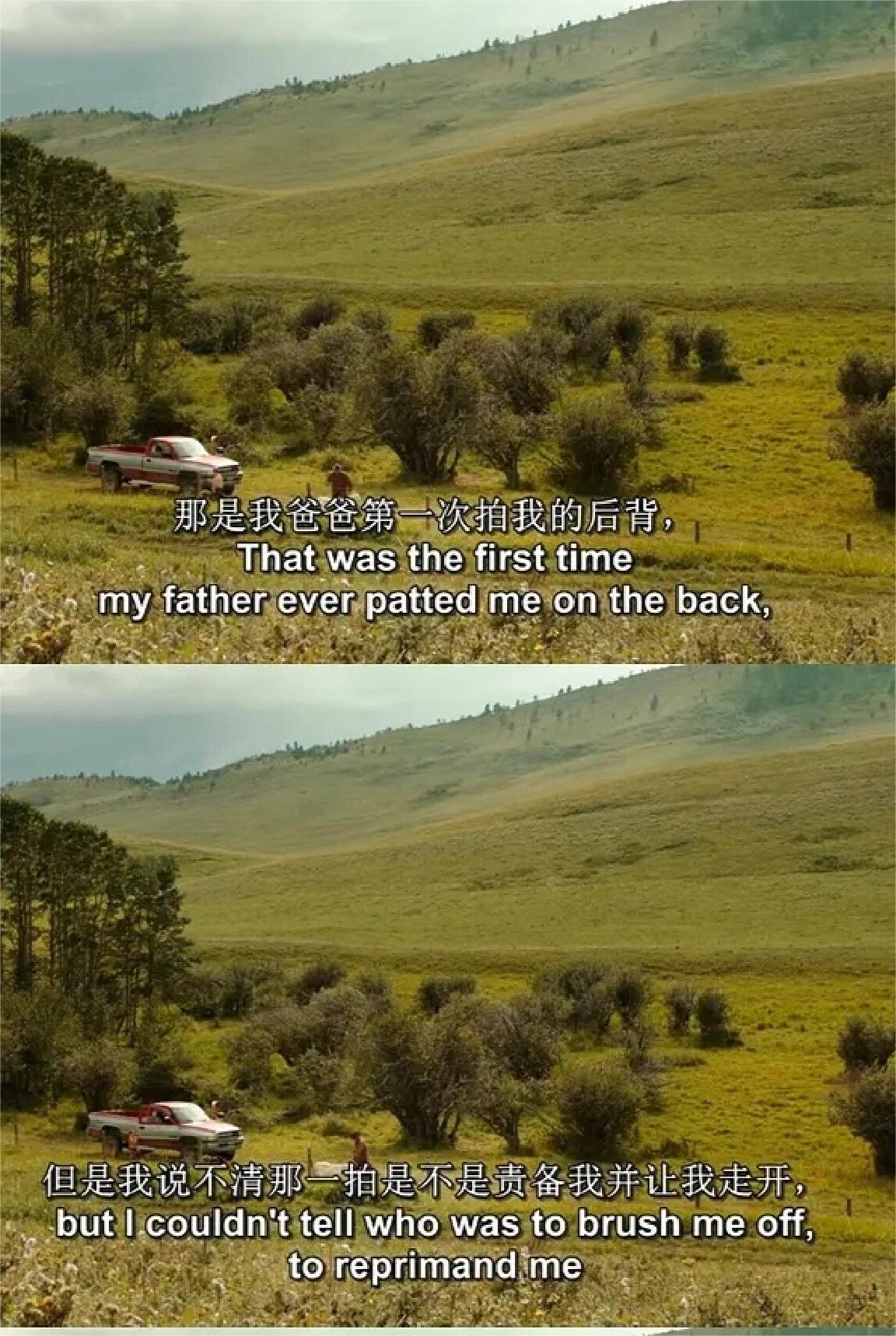 《少年斯派维的奇异旅行》:只有勇敢面对伤痛才能真正成长  这部电影