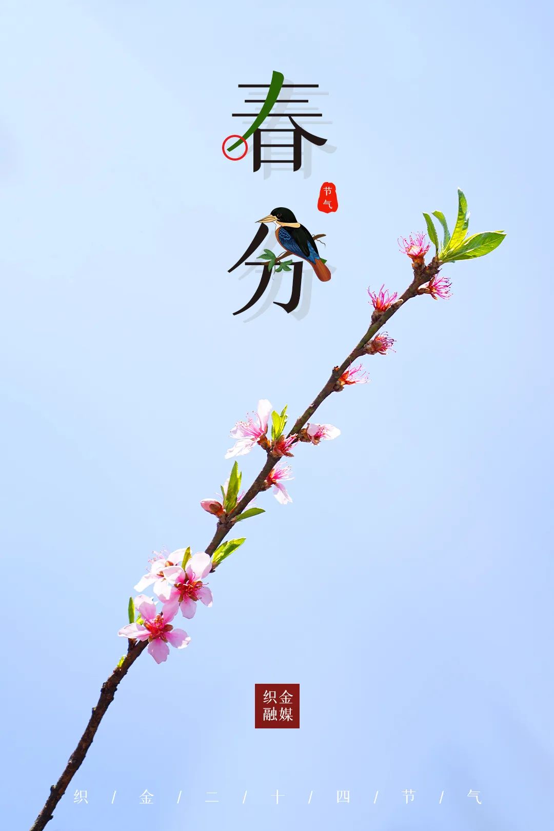 今日春分,春分是二十四节气之.@东北情感老师的动态