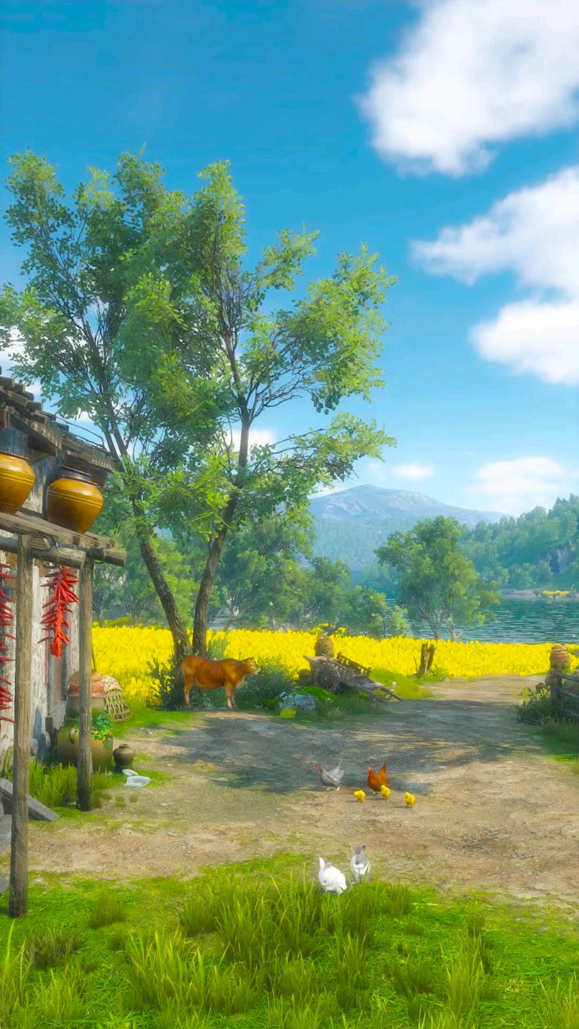 乡村田园生活风景