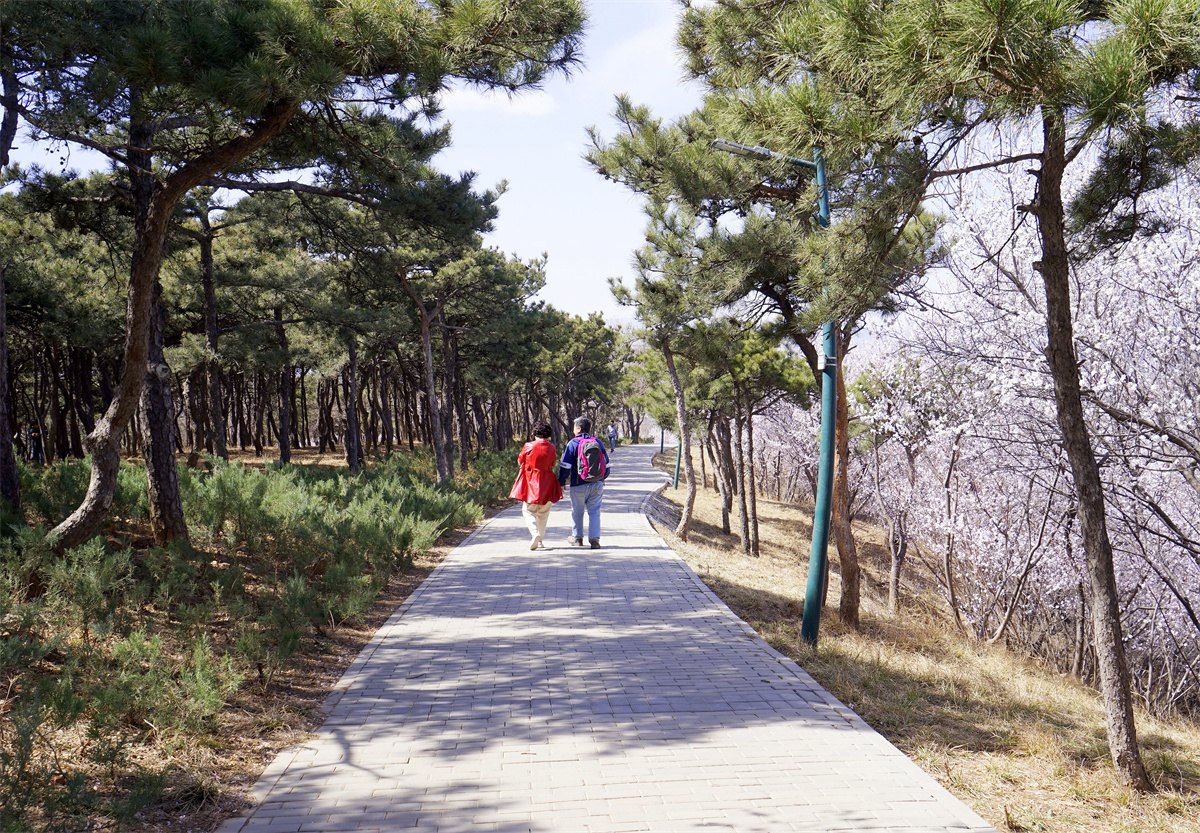 赏花踏青,登高望远,去老山城市休闲公园