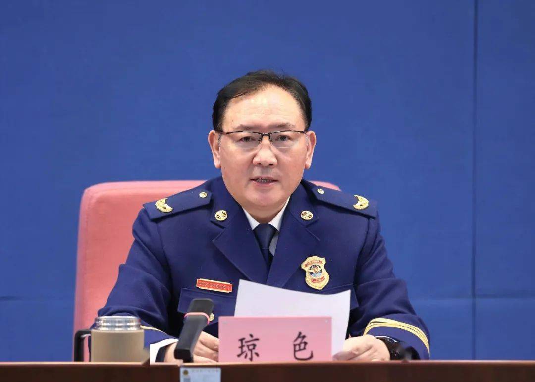 消防救援副总监