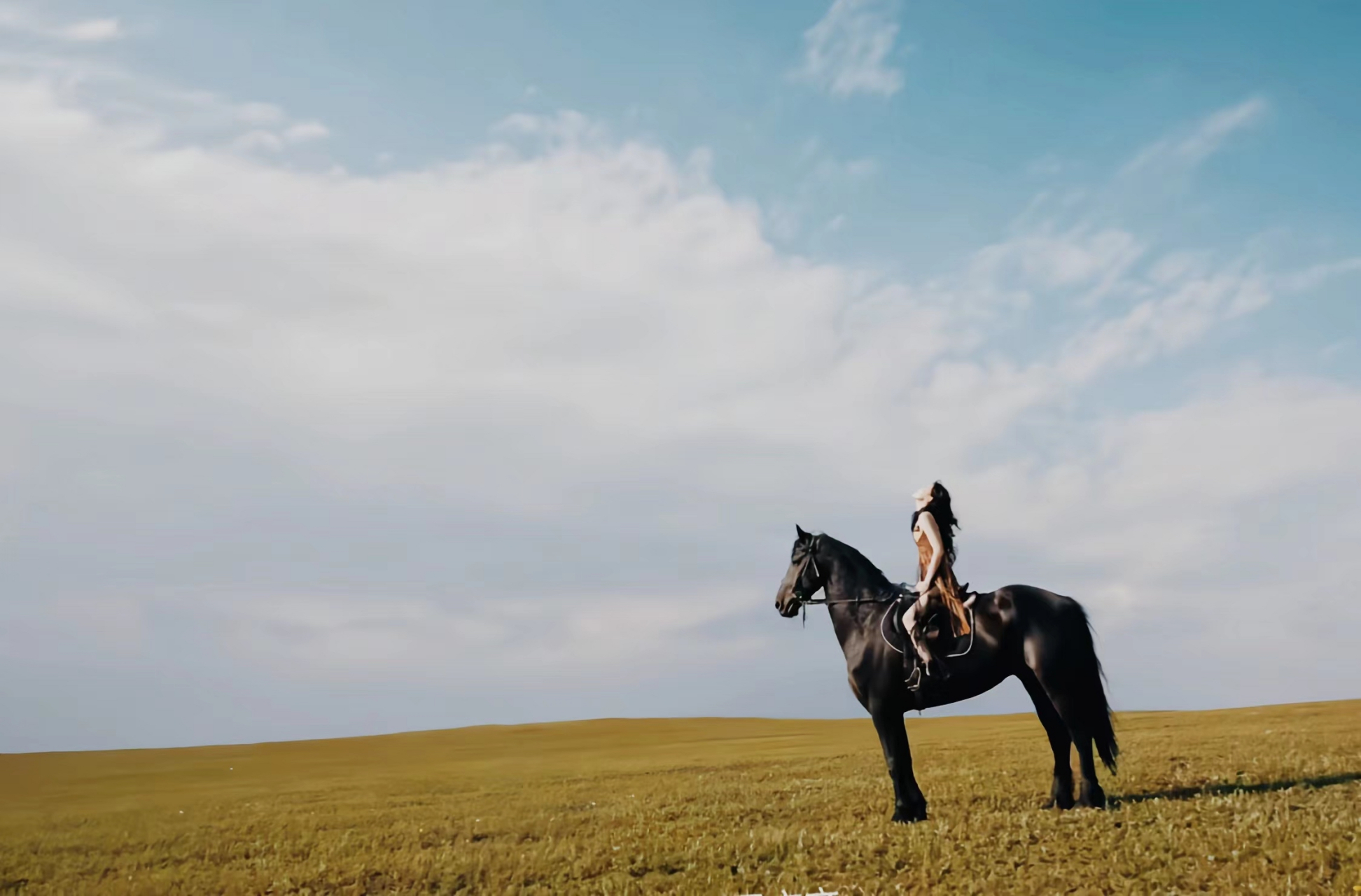 看从草原天际边走来一位美女,她骑汗血宝马, 漂逸的长发,倩俏的脸蛋