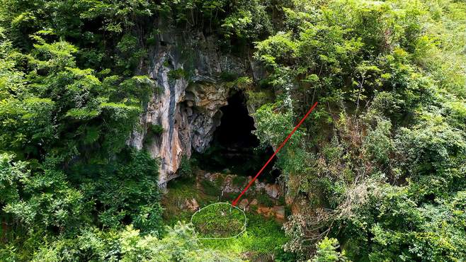 民间故事合集《迷雾村的诡异钟声:揭开百年宝藏之谜》