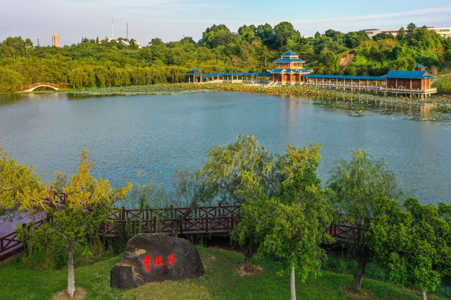 好消息,福州大学新增2个本科专业,分别是量子信息科学和知识产权两个