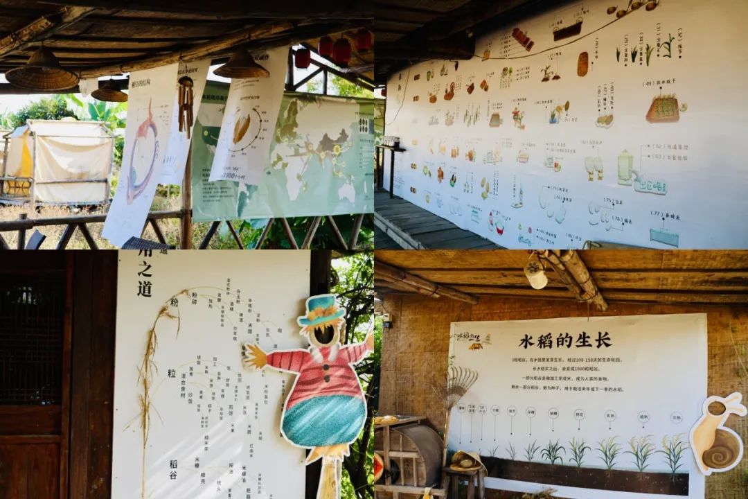 怎么在汇橙长app上预约活动?