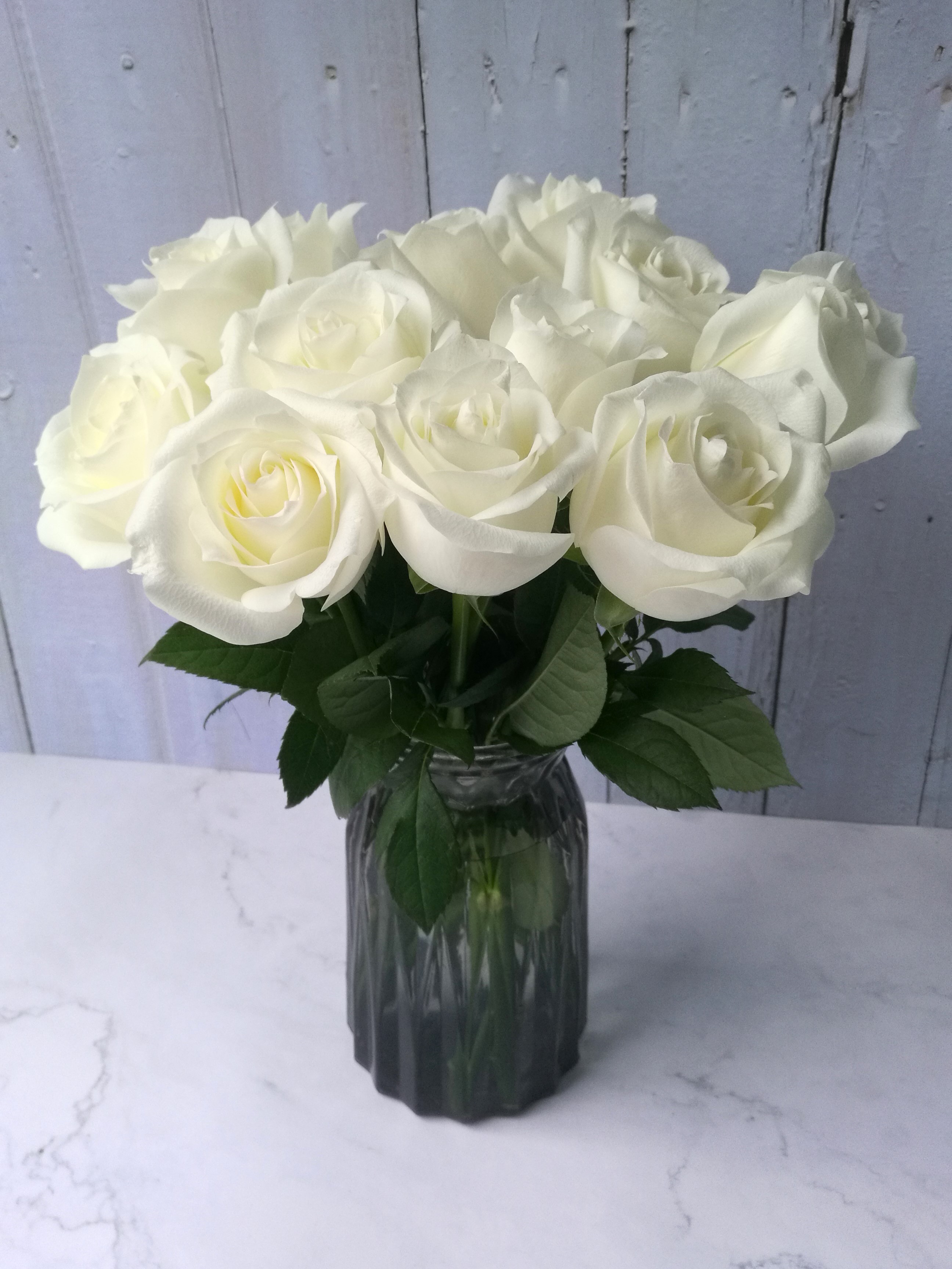 白玫瑰的花语令人向往,但11朵白玫瑰花礼的含义,你肯定没猜到!