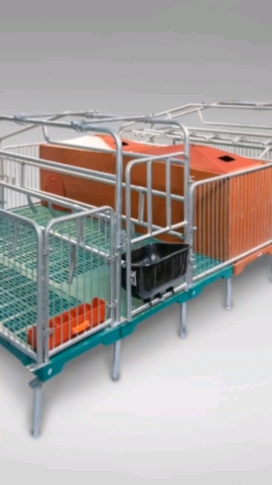 6米 双体母猪产床 #母猪双体产床 #母猪产床