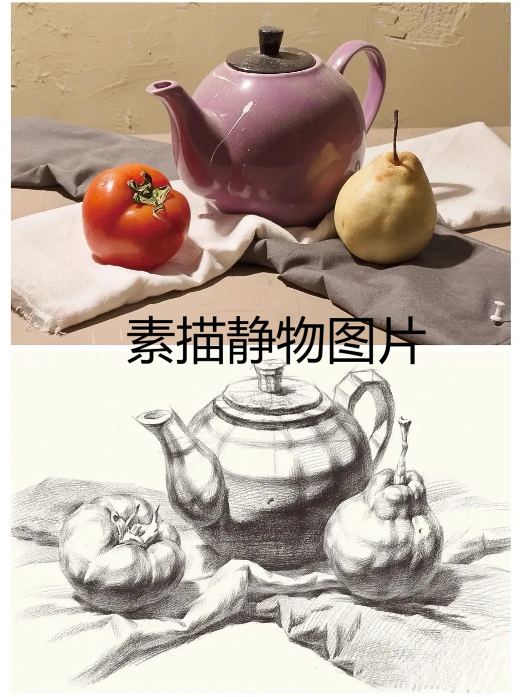 素描静物图片  分享一组静物组合结构素描素材,照片对照结构画面.