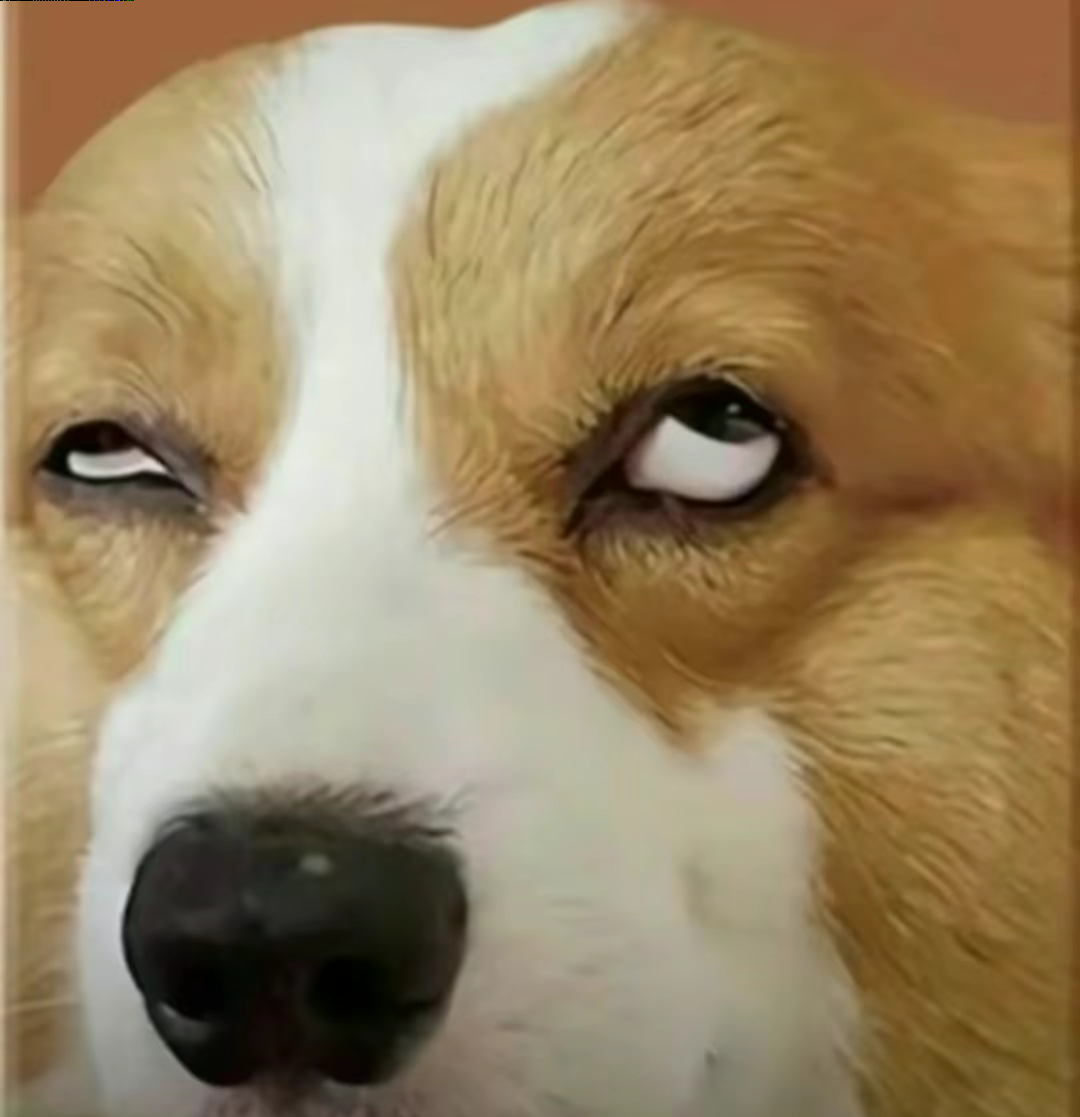 我曾经借房给亲戚住了22个月,最后保洁费用我自己付