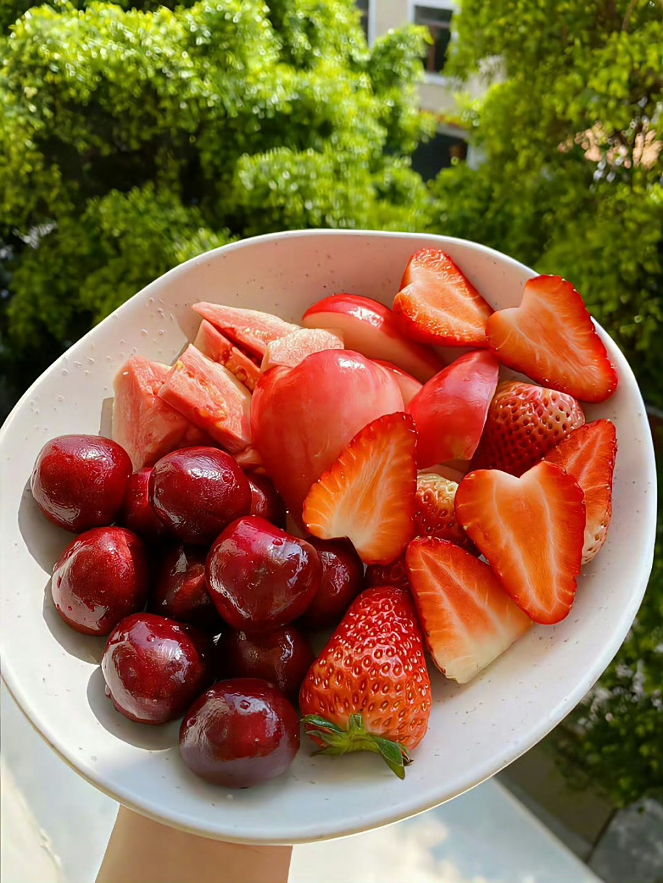 水果切切乐 676767