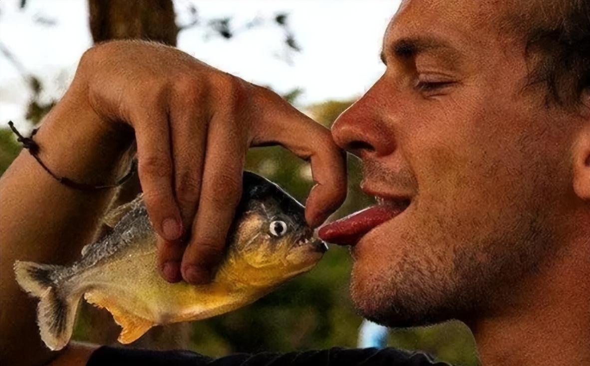 水獭PK一群食人鱼图片