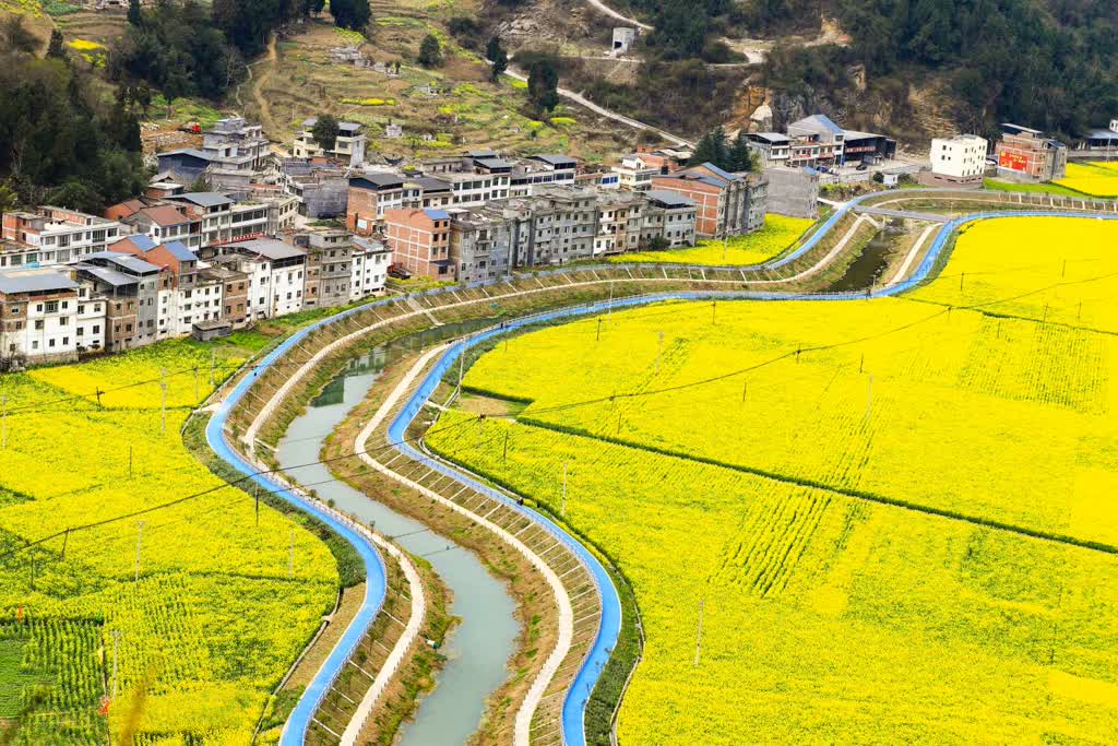 「创建天府旅游名县」古蔺双沙:油菜花田美如画