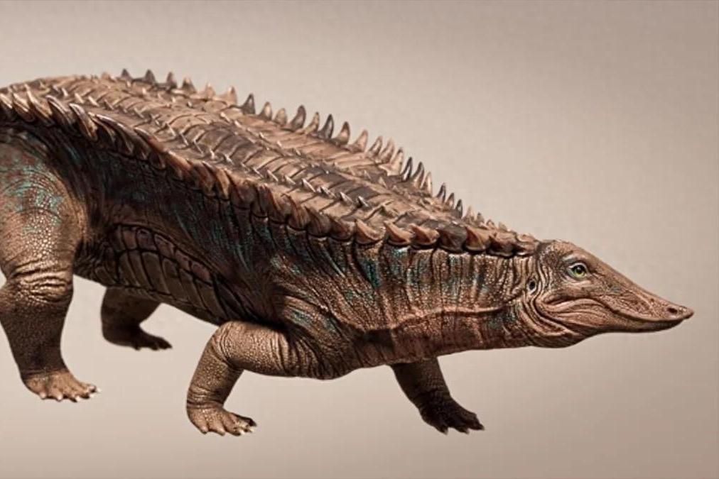 德克萨斯州这一重大发现让恩吐龙族沸腾