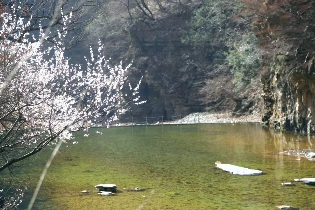 蟒河生态旅游区门票图片