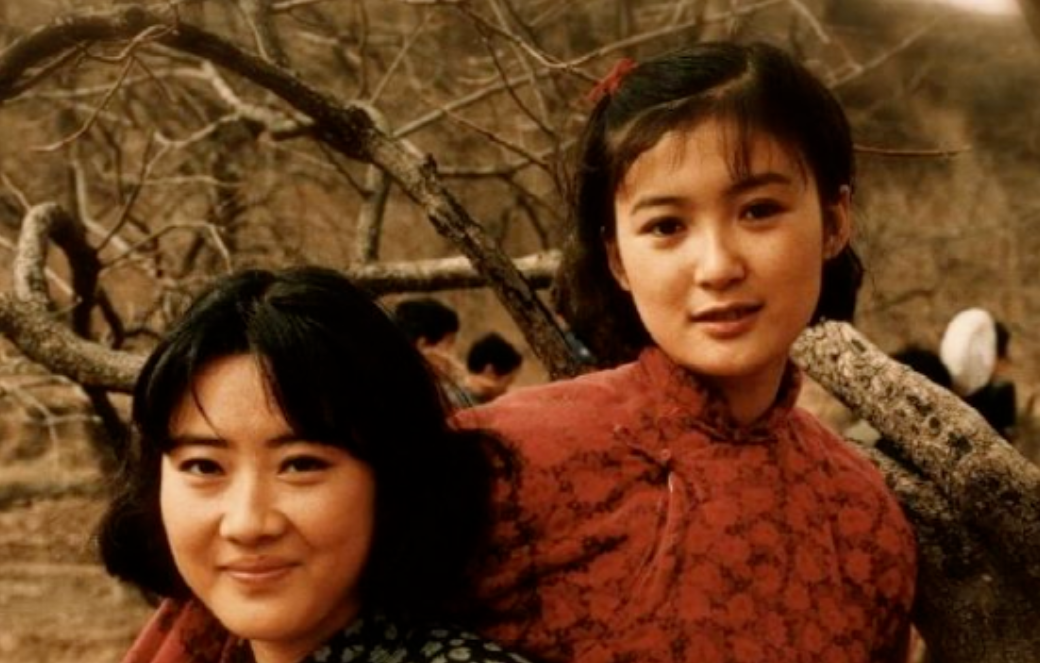 1995年在电视剧《承诺》中饰演"容芳",她的演绎得到众多认可.