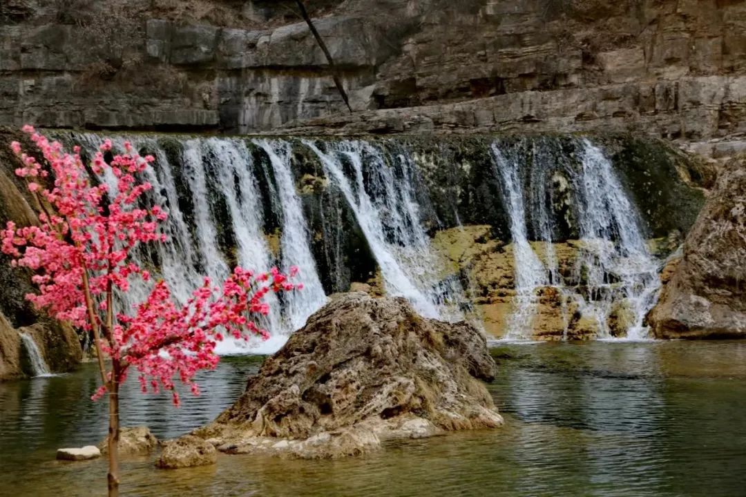 蟒河生态旅游区门票图片