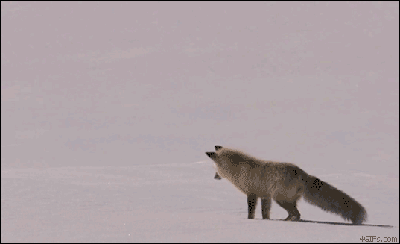 400_244gif 动态图 动图
