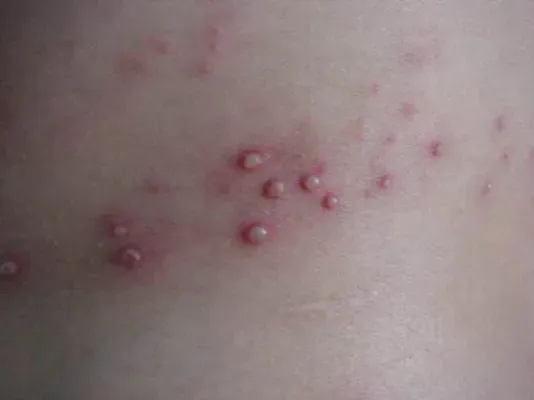 这是什么鬼玩意啊?