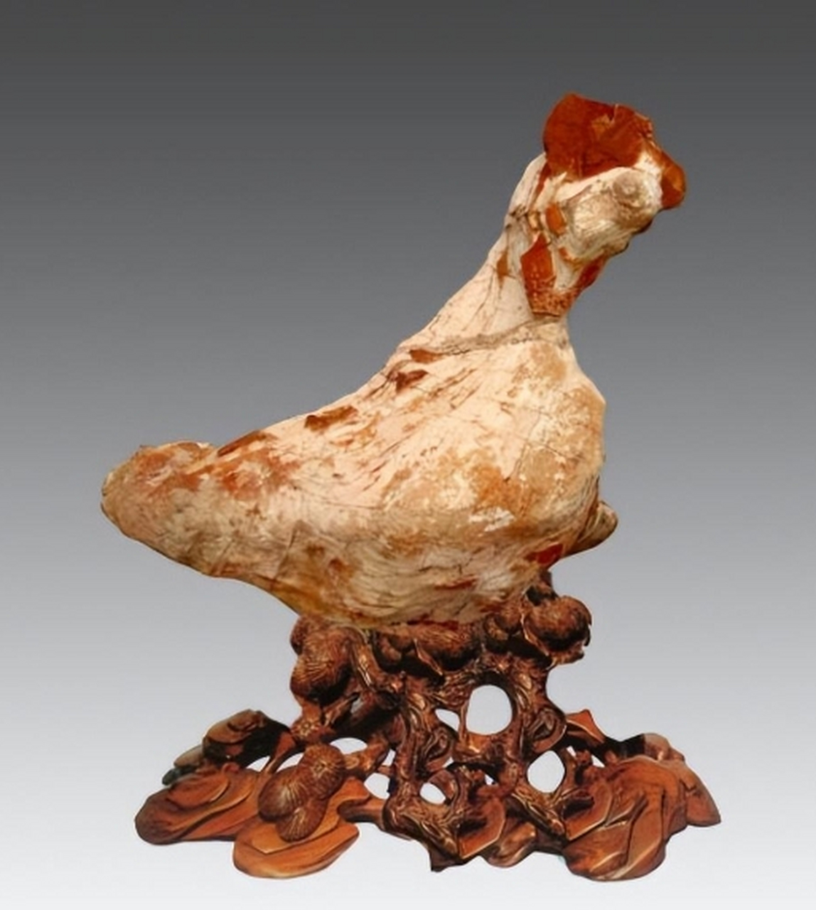 点击头像看直播# #奇石摆件#太行纹石的石质为石灰石,是太行山上出