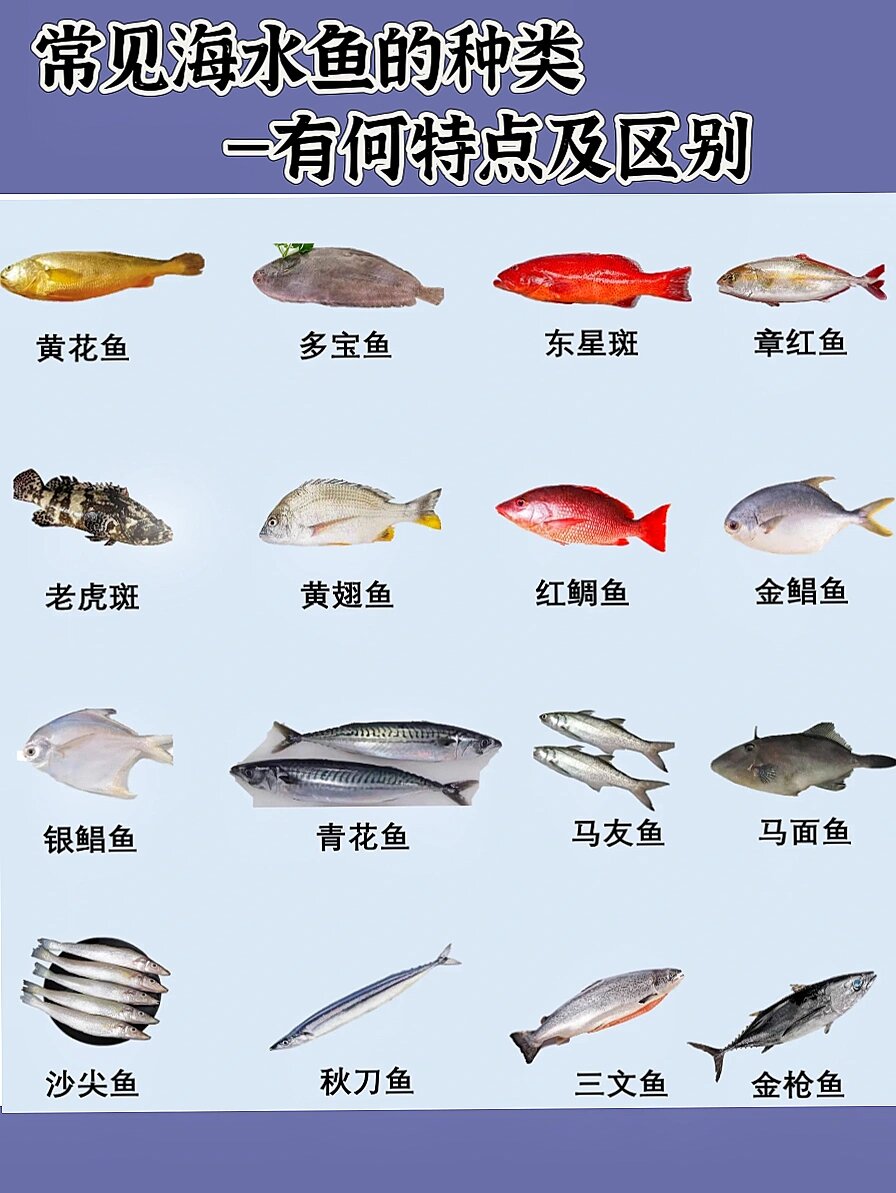 一起来看看有哪些海水鱼吧!