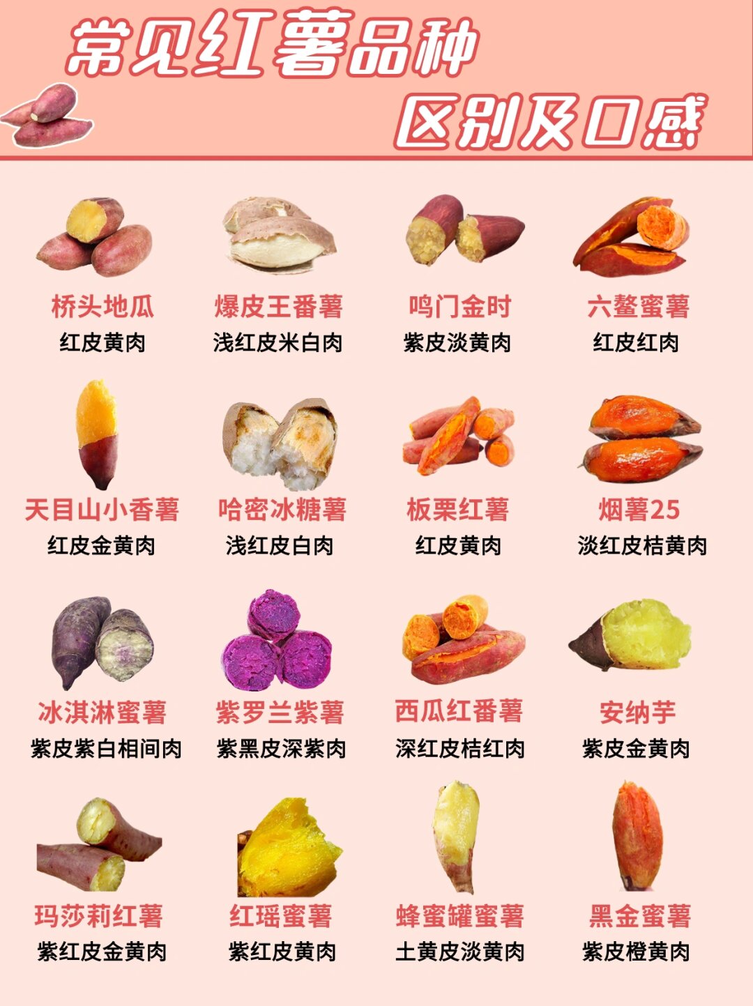 16种常见红薯品种大汇总,看看你最喜欢哪款 [向右r