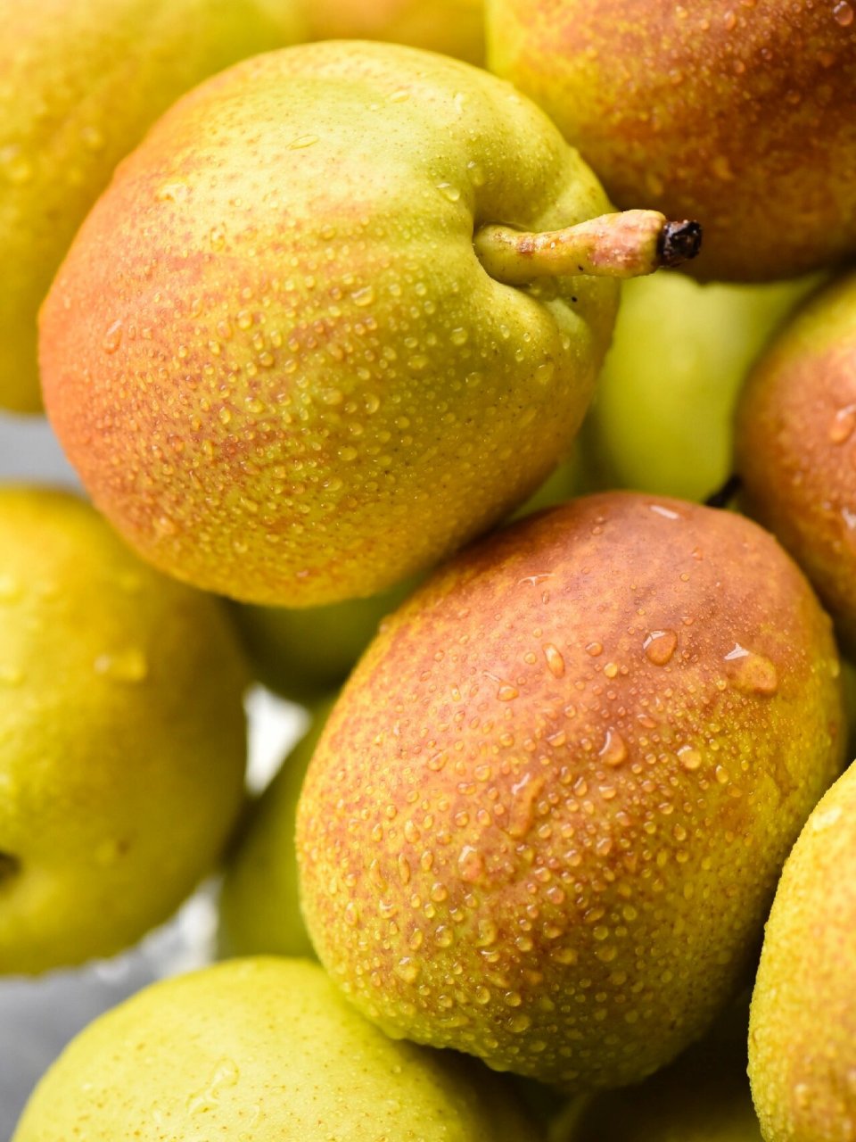 香梨图片  香梨是各个年龄段都喜爱的一种水果,具有色泽好看,皮薄肉脆