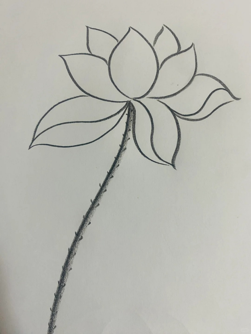 ♥️分享简单画莲花过程🪷 ♥️笔记心得:先画三个水滴