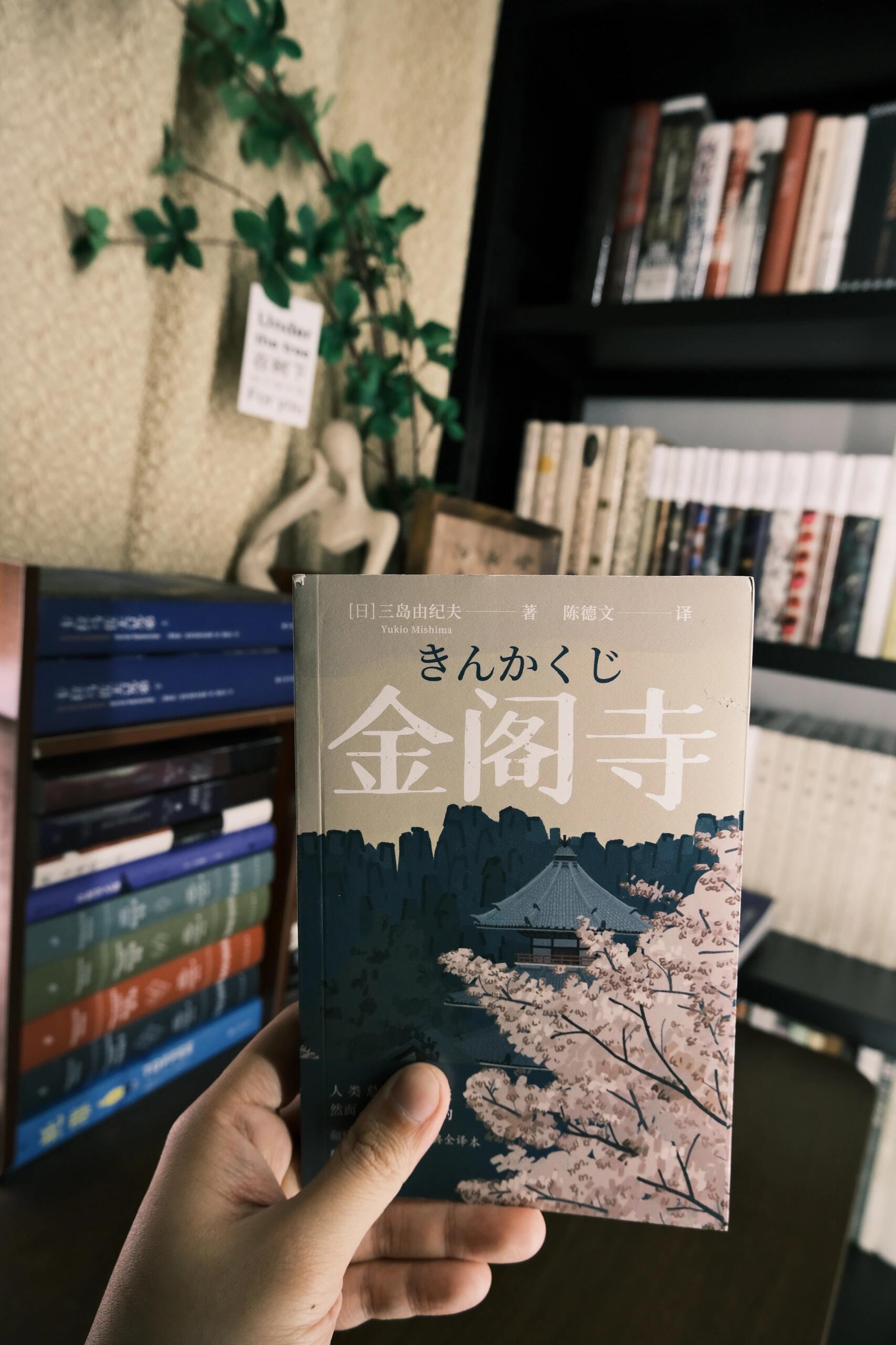 我嫉妒《金阁寺》的美 大学时看两页就睡着现在看完却觉得很累