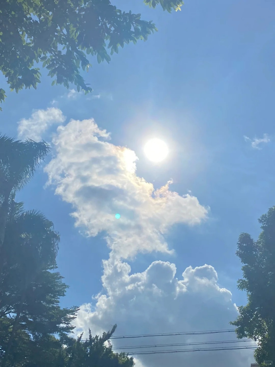 天气图片  各种各样的天气~ 变幻~真的很让人着迷呢~ 放晴的天空